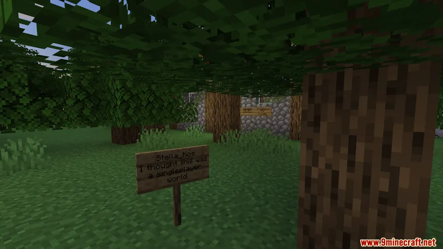 000.jar Mod screenshot 15 showing mod in action