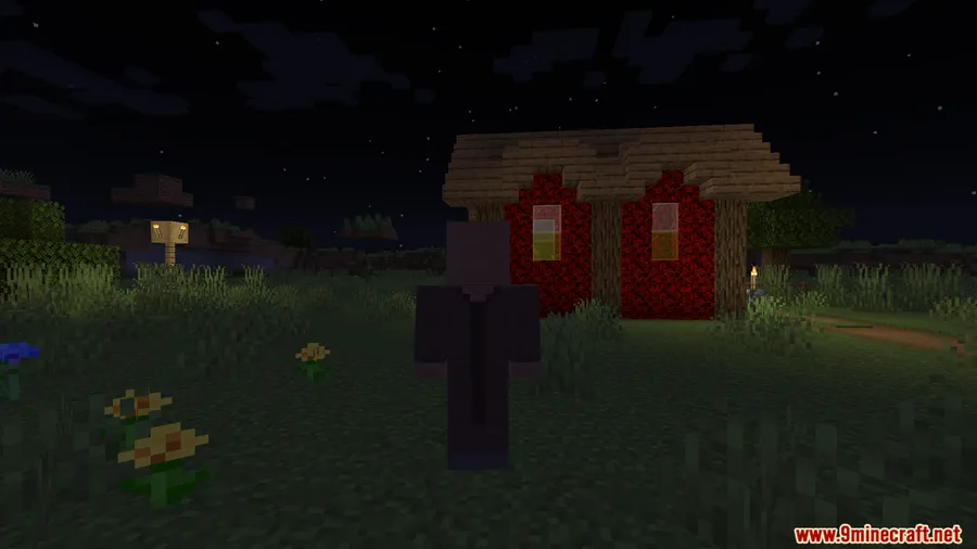 000.jar Mod screenshot 19 showing mod in action