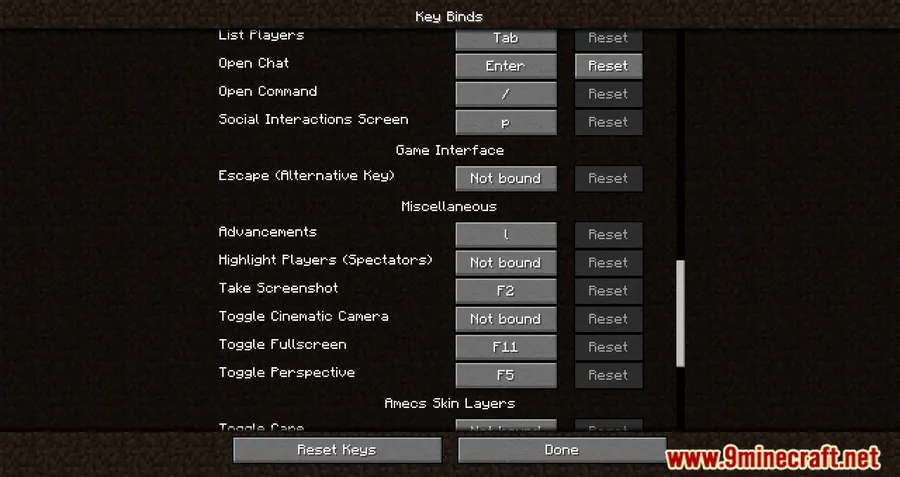 Amecs Mod screenshot 4 showing mod in action