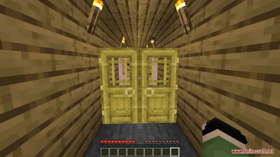 Animated Doors Mod screenshot 3