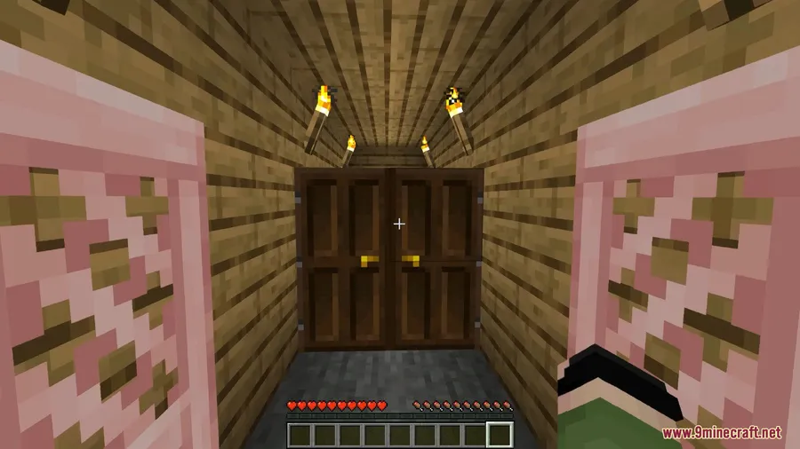 Animated Doors Mod screenshot 5