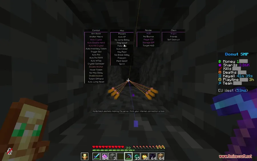 Argon Client Mod screenshot 3 showing mod in action