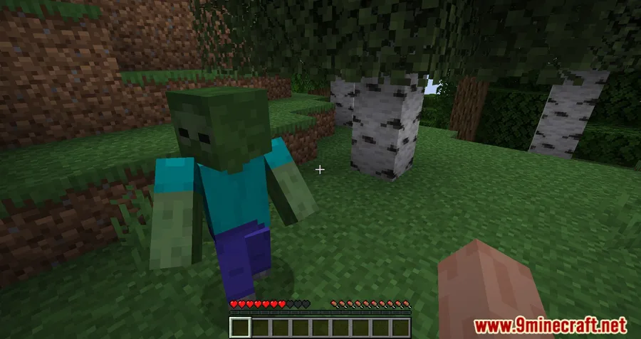 BetterHurtCam Mod screenshot 3