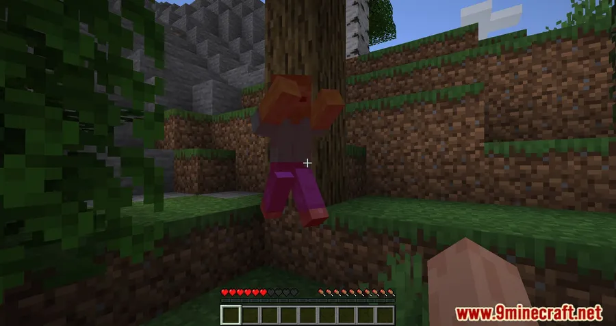 BetterHurtCam Mod screenshot 8