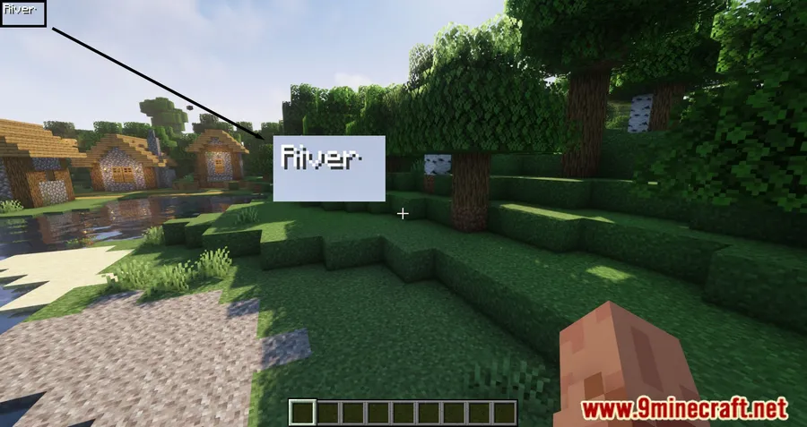 BiomeInfo Mod screenshot 1