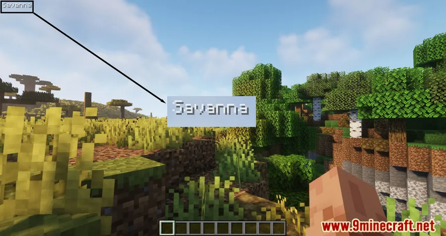 BiomeInfo Mod screenshot 4