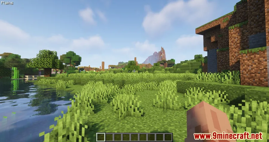 BiomeInfo Mod screenshot 7