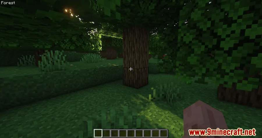 BiomeInfo Mod screenshot 8