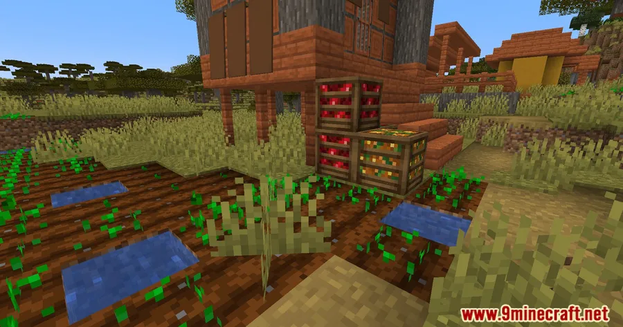 Crate Delight Mod screenshot 3 showing mod in action