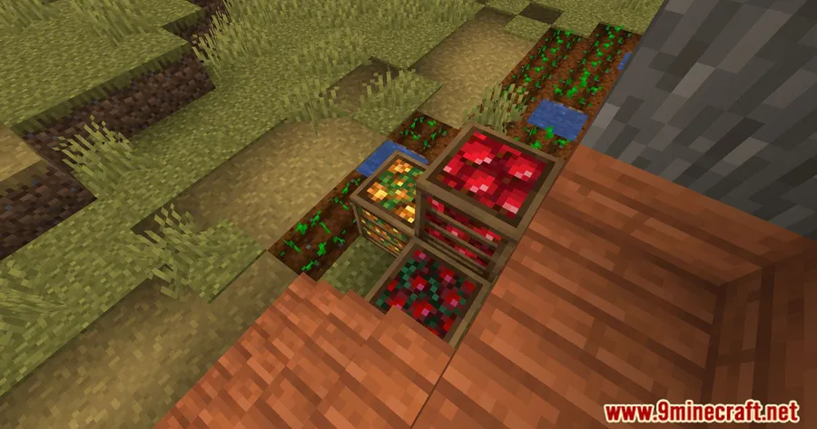 Crate Delight Mod screenshot 4 showing mod in action