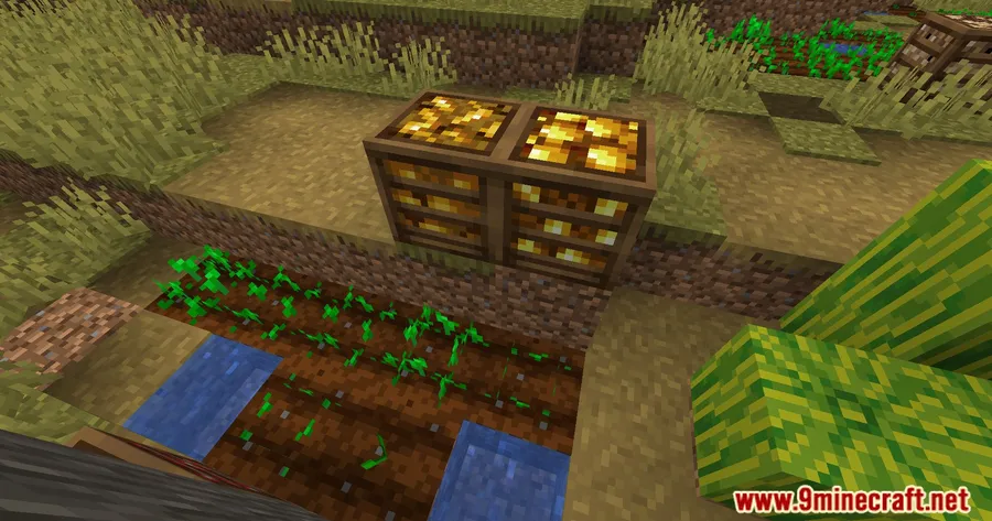 Crate Delight Mod screenshot 5 showing mod in action