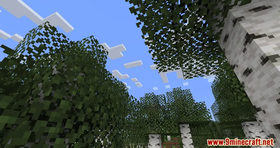 Cull Less Leaves Reforged Mod screenshot 8 showing mod in action