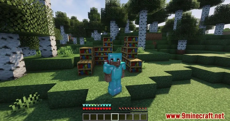 Detail Armor Bar Mod screenshot 8 showing mod in action