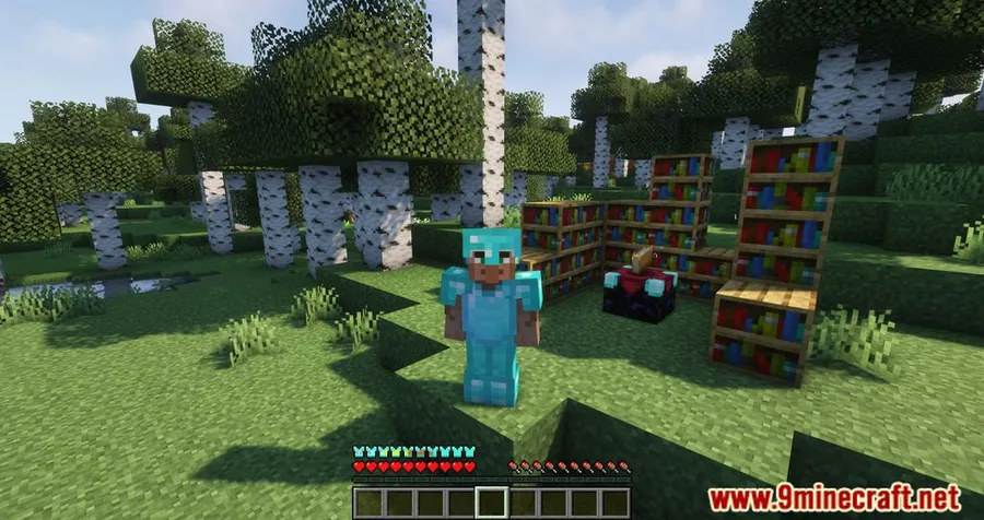 Detail Armor Bar Mod screenshot 9 showing mod in action