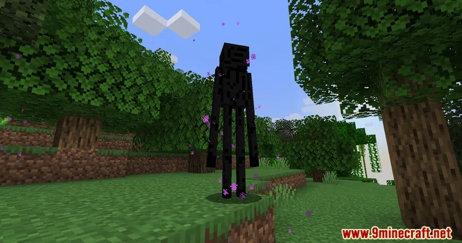 Disable Enderman Picking Up Blocks Mod screenshot 2