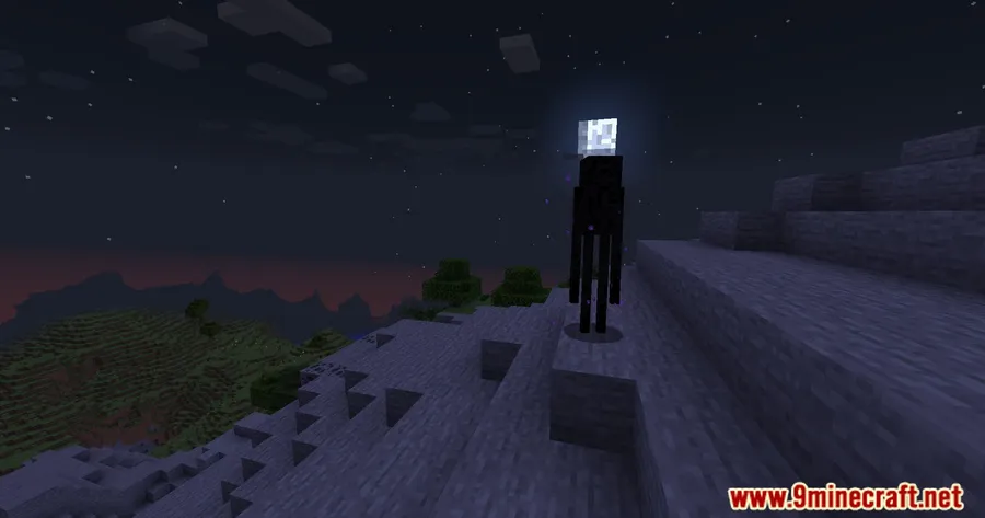 Disable Enderman Picking Up Blocks Mod screenshot 4