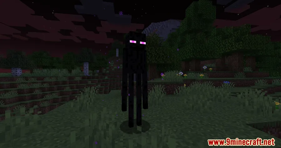 Disable Enderman Picking Up Blocks Mod screenshot 5