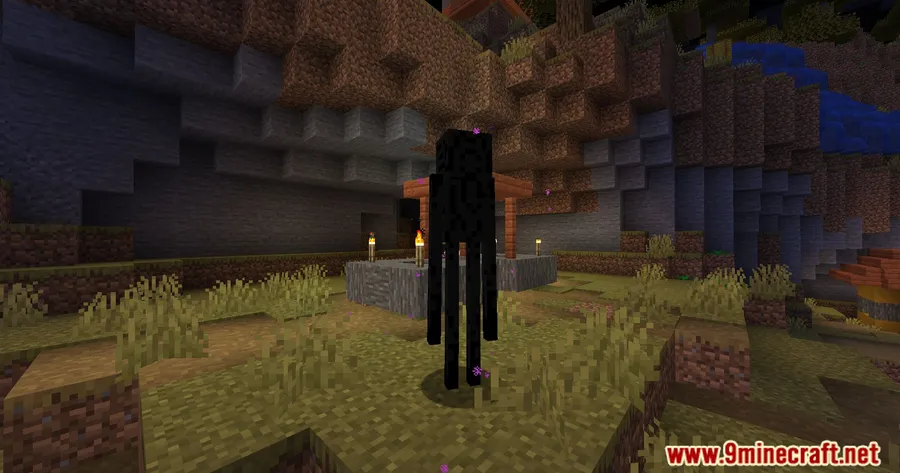 Disable Enderman Picking Up Blocks Mod screenshot 8