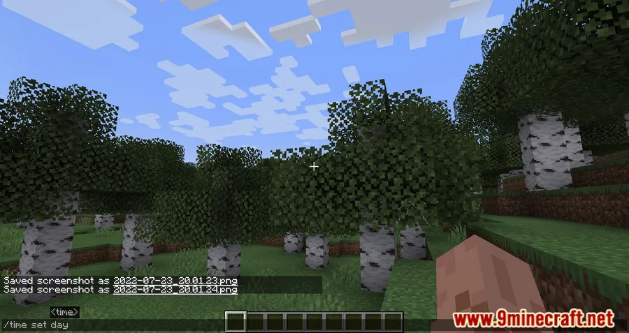 Don't Clear Chat History Mod screenshot 6