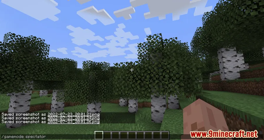 Don't Clear Chat History Mod screenshot 7