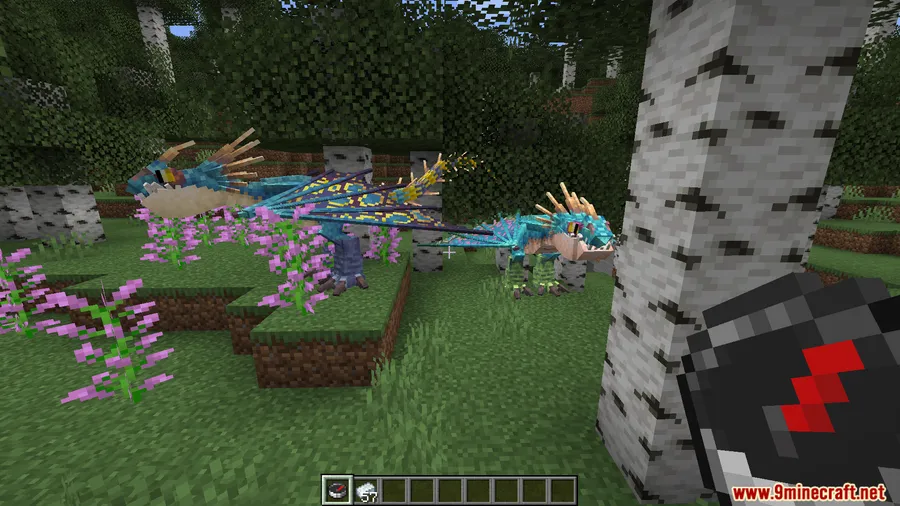 Dragon Compass Mod screenshot 10