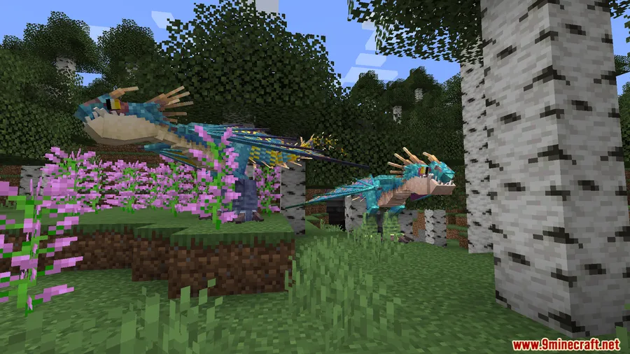 Dragon Compass Mod screenshot 11