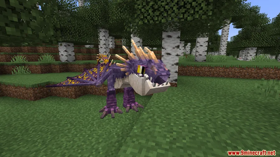 Dragon Compass Mod screenshot 12