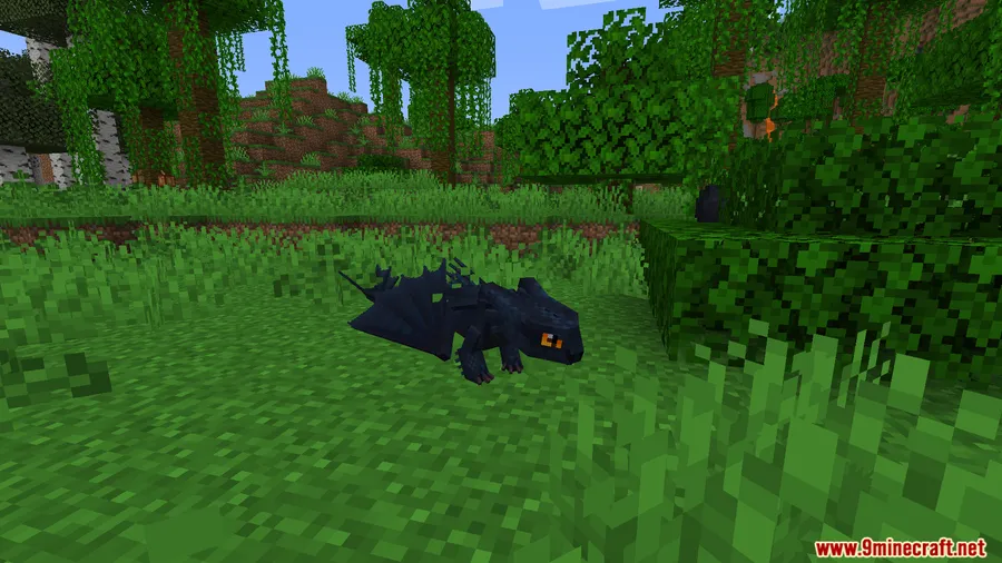 Dragon Compass Mod screenshot 14