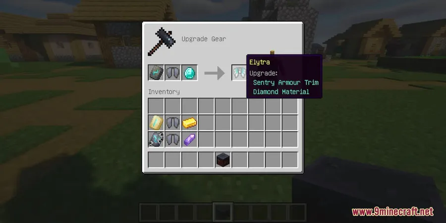 Elytra Trims Mod screenshot 3 showing mod in action