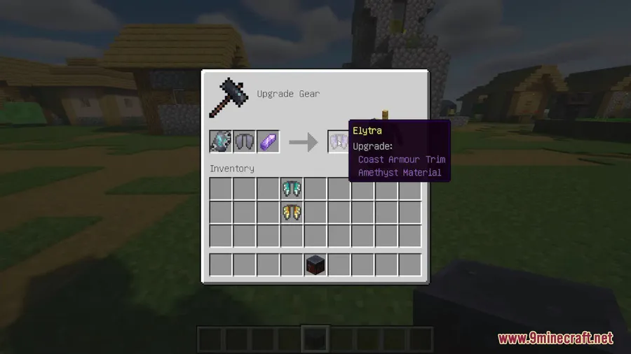 Elytra Trims Mod screenshot 5 showing mod in action