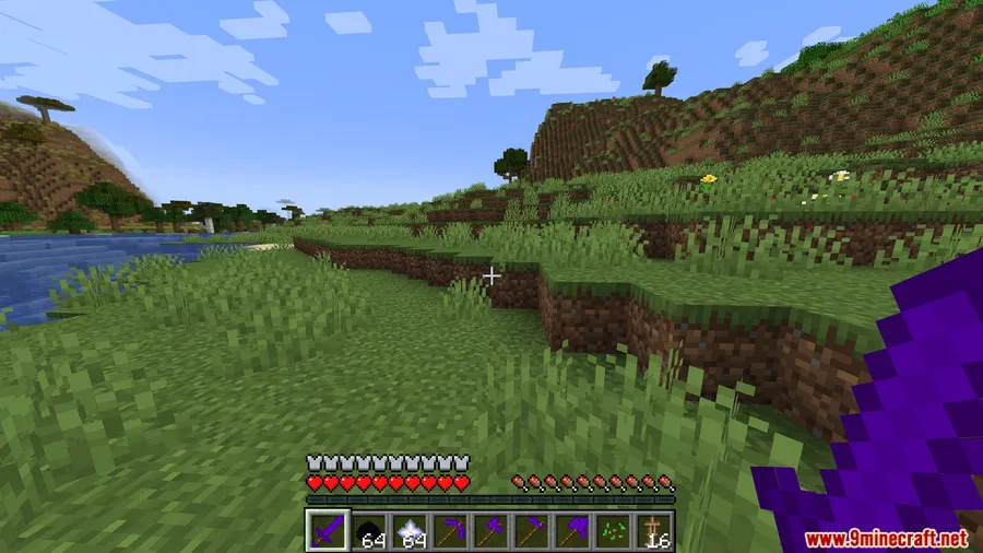 Ender Dragon Tools Mod screenshot 9