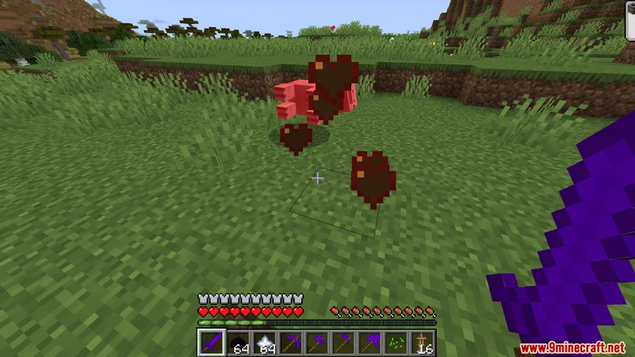 Ender Dragon Tools Mod screenshot 11