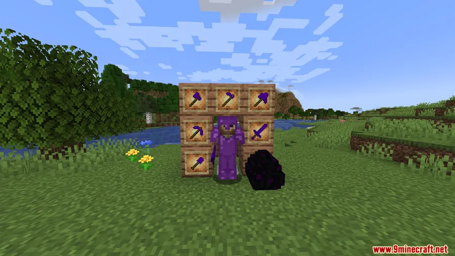 Ender Dragon Tools Mod screenshot 3