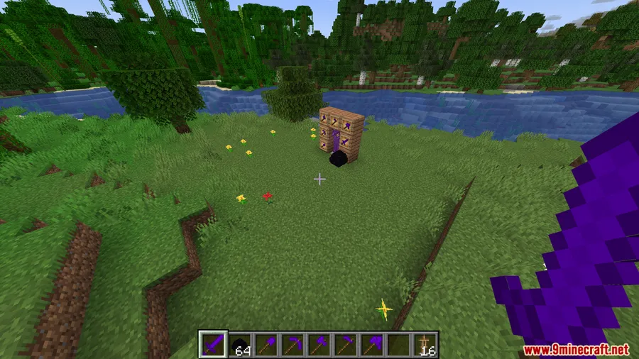 Ender Dragon Tools Mod screenshot 4