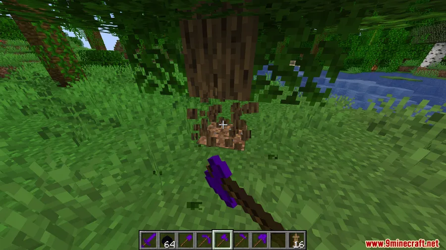 Ender Dragon Tools Mod screenshot 5