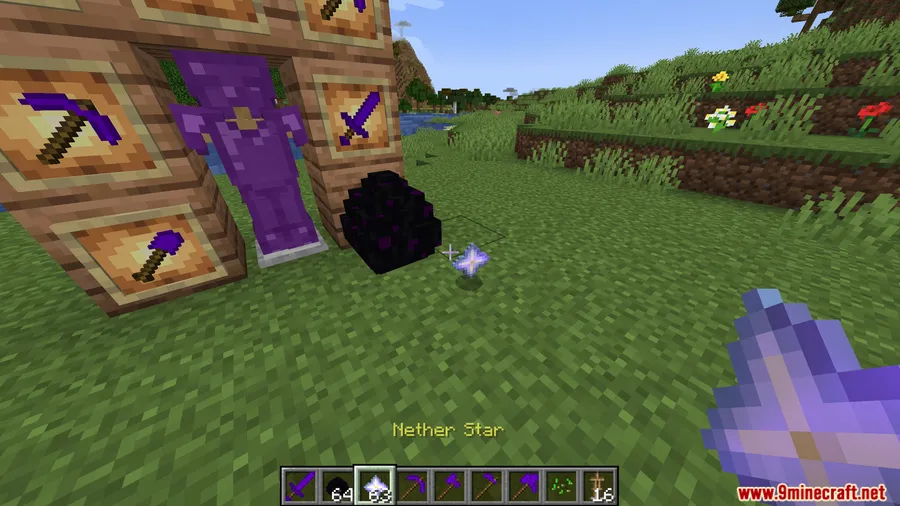 Ender Dragon Tools Mod screenshot 7