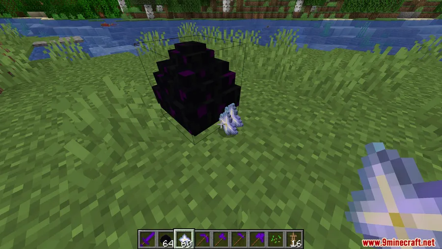 Ender Dragon Tools Mod screenshot 8