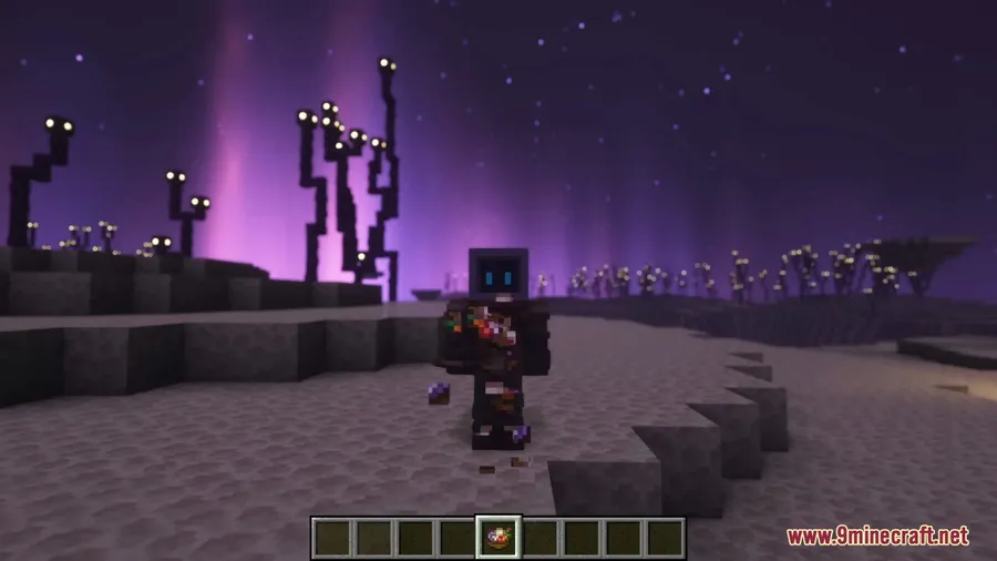 Ender's Delight Mod screenshot 5