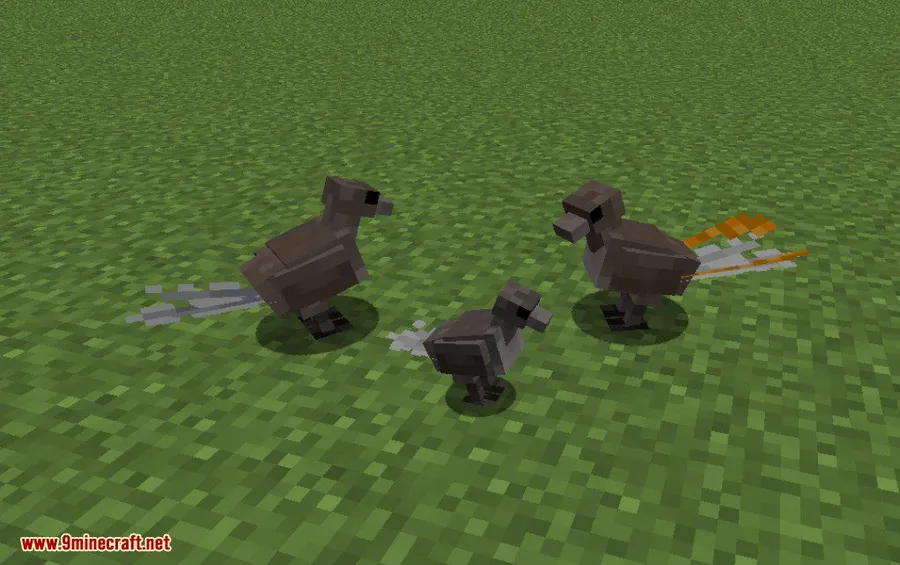 Exotic Birds Mod screenshot 9