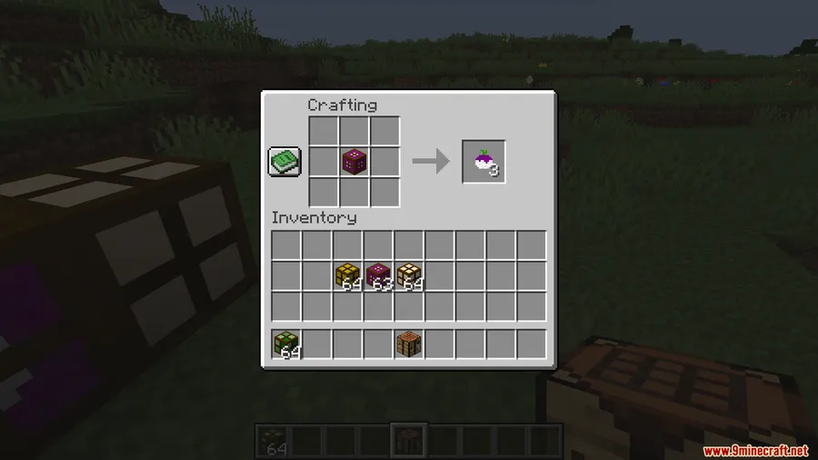 Experienced Food Mod screenshot 5