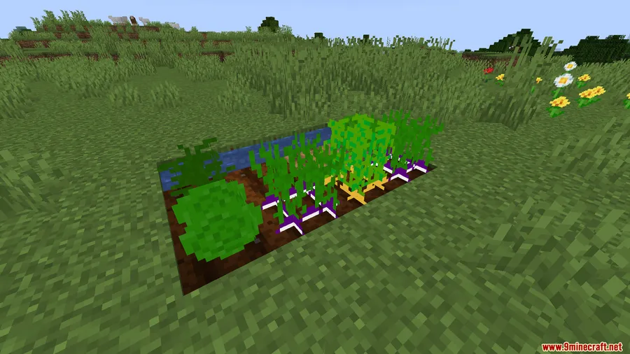 Experienced Food Mod screenshot 7