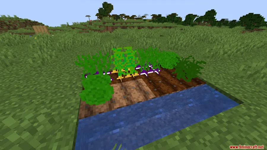 Experienced Food Mod screenshot 8