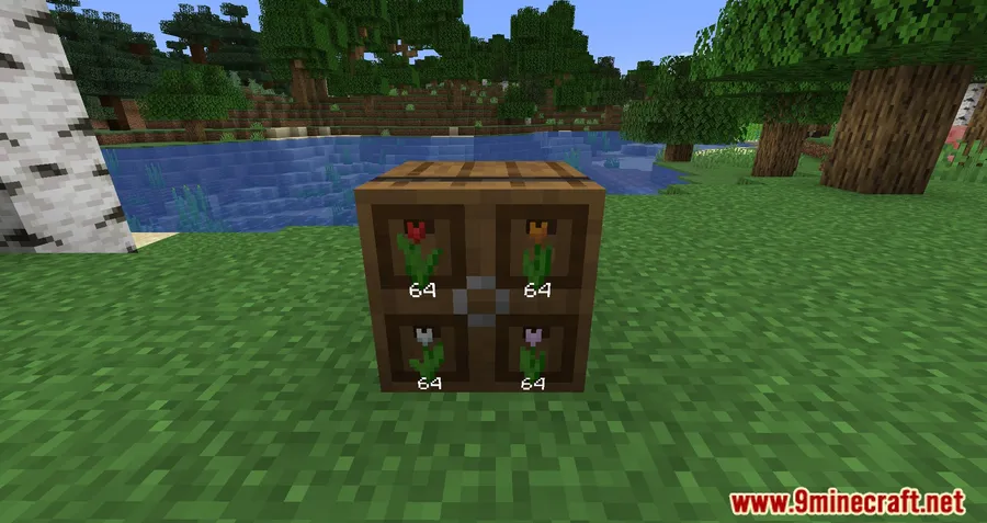 Extended Drawers Mod screenshot 4 showing mod in action