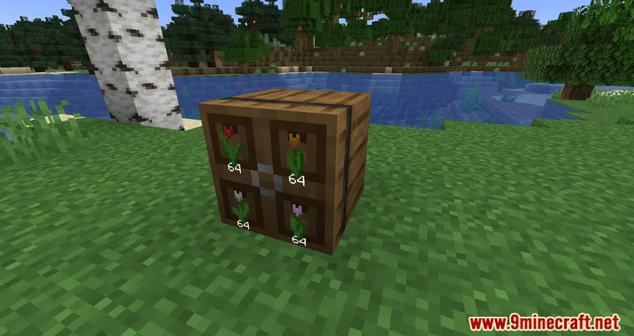 Extended Drawers Mod screenshot 5 showing mod in action