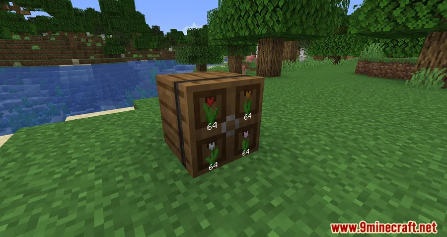 Extended Drawers Mod screenshot 6 showing mod in action