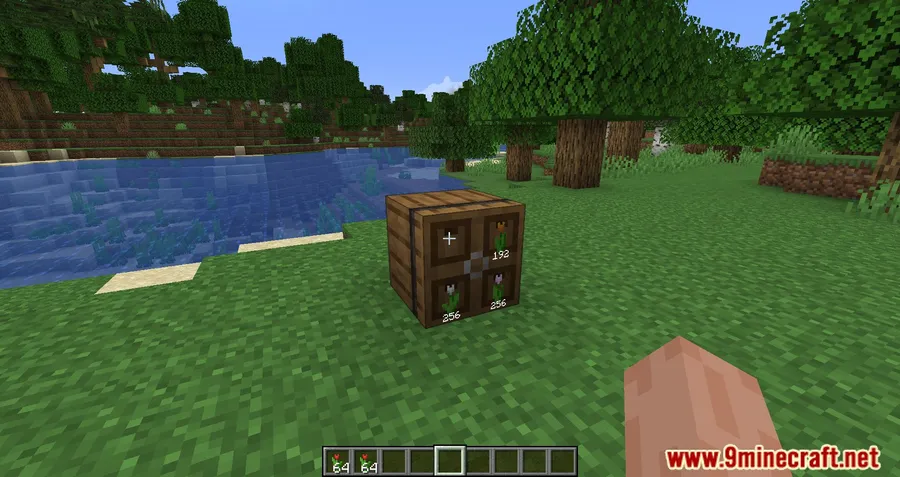 Extended Drawers Mod screenshot 8 showing mod in action