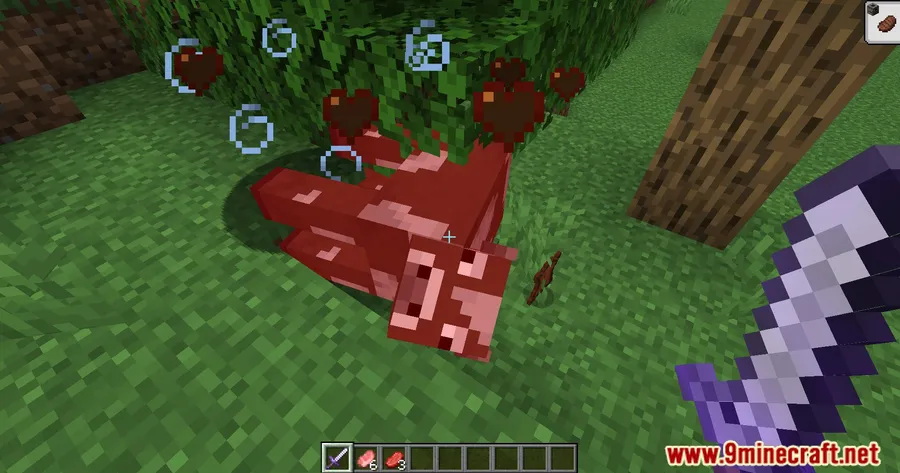 Extra Damage Enchantments Mod screenshot 6