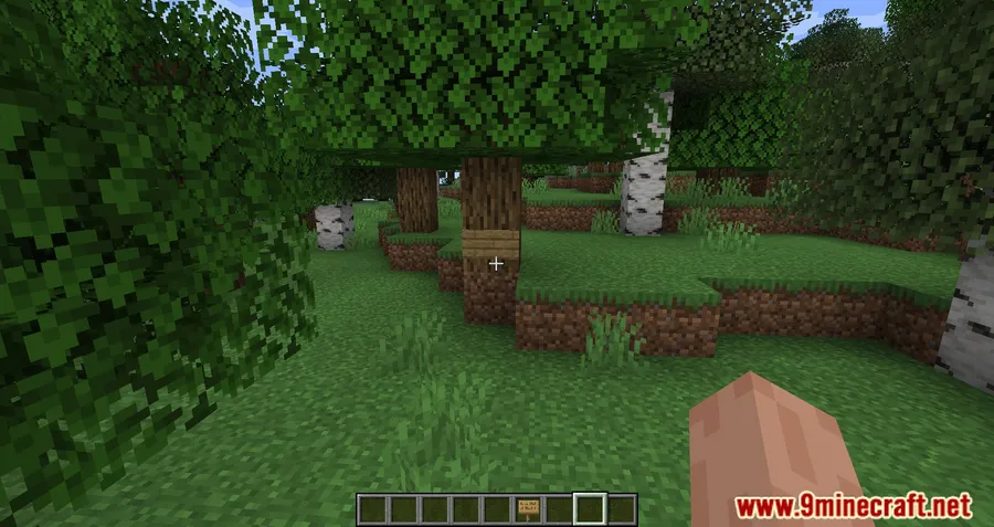 FeyTweaks Mod screenshot 6