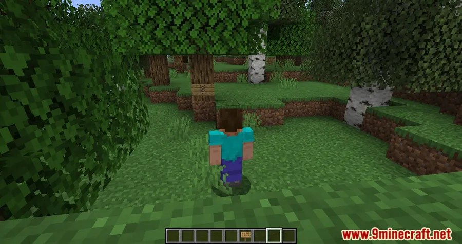 FeyTweaks Mod screenshot 7