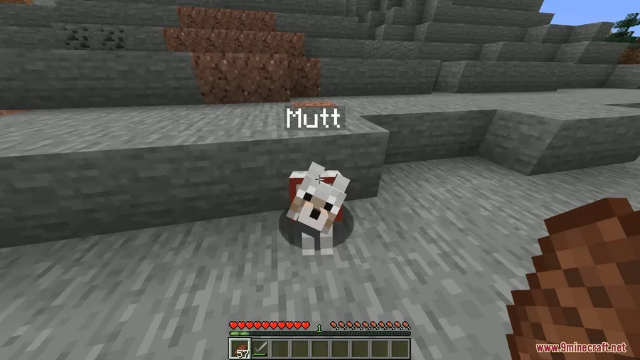 Friendly Fire Mod screenshot 5 showing mod in action